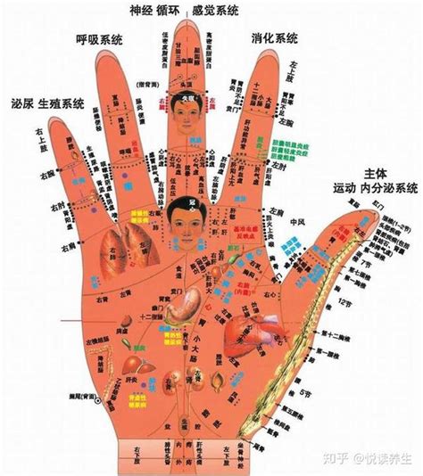 人中凹陷|每天学点养生：怎样通过人中看健康？